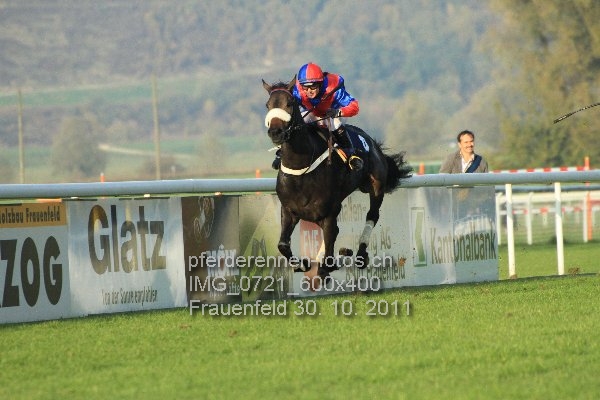IMG 0721 600x400 prot