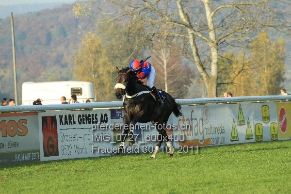 IMG 0727 600x400 prot