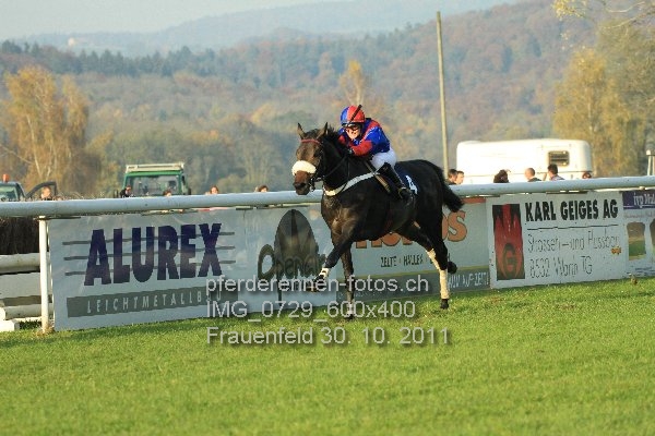 IMG 0729 600x400 prot