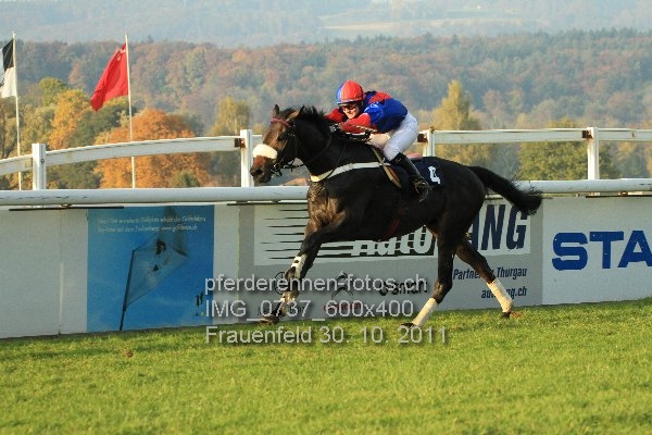 IMG 0737 600x400 prot