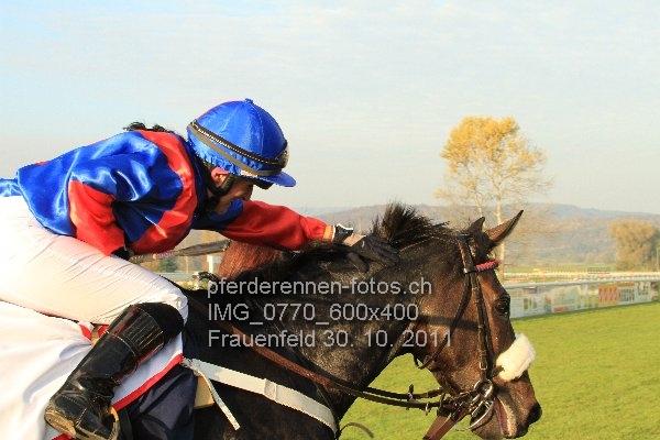 IMG 0770 600x400 prot