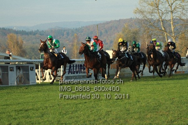 IMG 0808 600x400 prot