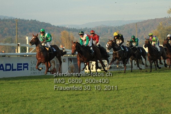 IMG 0809 600x400 prot
