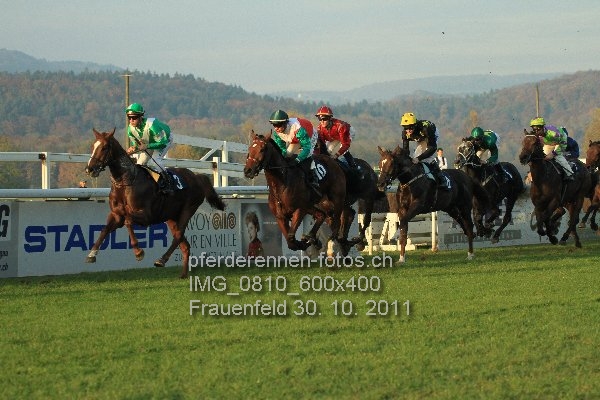 IMG 0810 600x400 prot