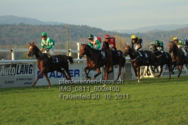 IMG 0811 600x400 prot