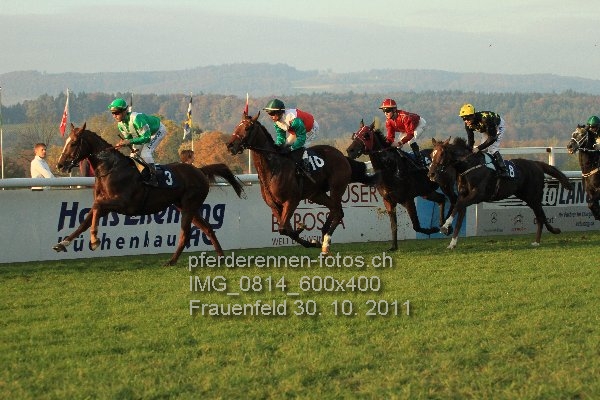 IMG 0814 600x400 prot