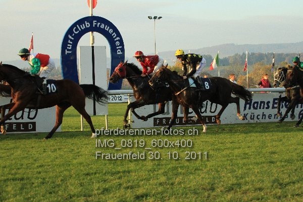 IMG 0819 600x400 prot
