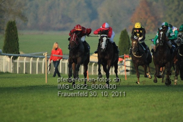IMG 0822 600x400 prot