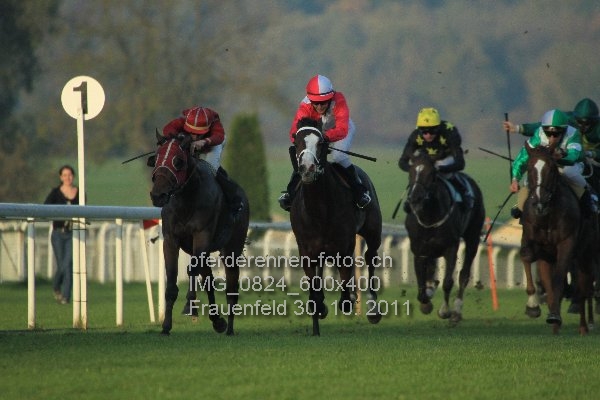 IMG 0824 600x400 prot