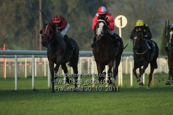 IMG 0828 600x400 prot