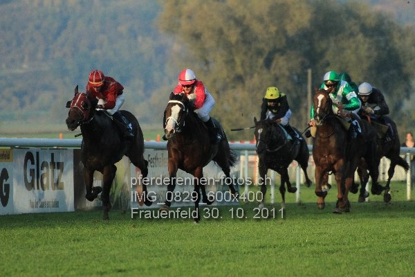IMG 0829 600x400 prot