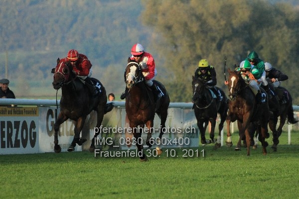 IMG 0830 600x400 prot
