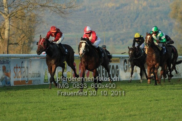 IMG 0833 600x400 prot