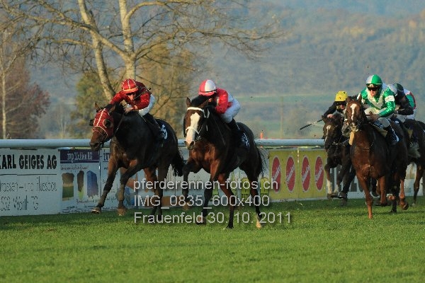 IMG 0835 600x400 prot