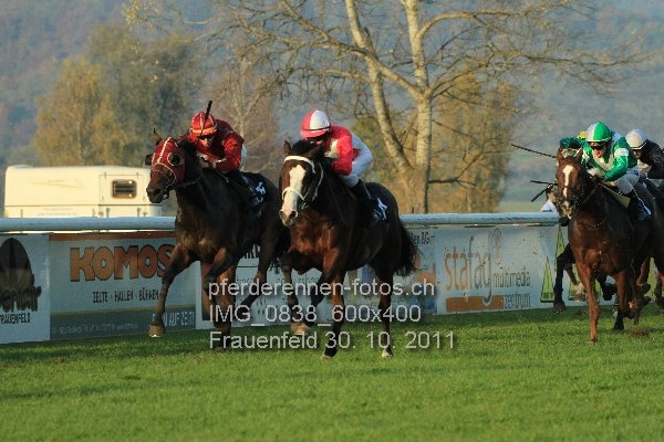 IMG 0838 600x400 prot