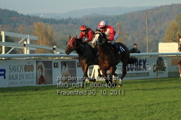 IMG 0841 600x400 prot