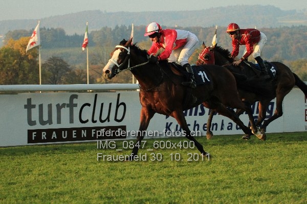 IMG 0847 600x400 prot
