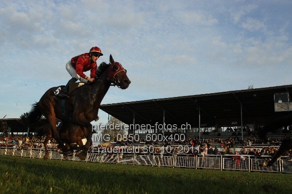 IMG 0850 600x400 prot