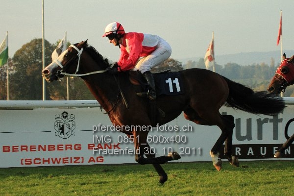 IMG 0851 600x400 prot