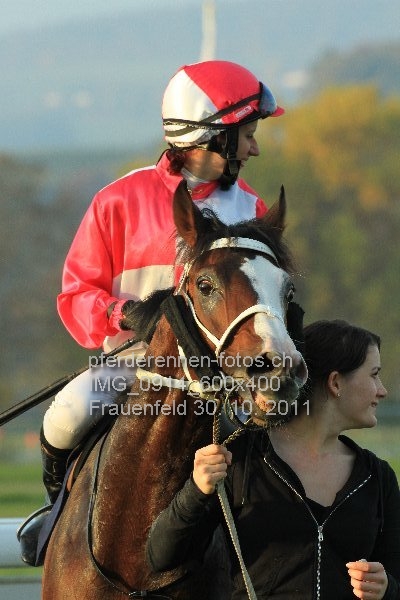 IMG 0914 600x400 prot