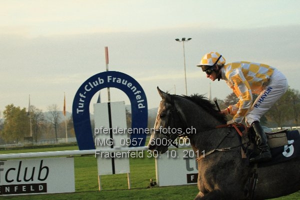 IMG 0957 600x400 prot