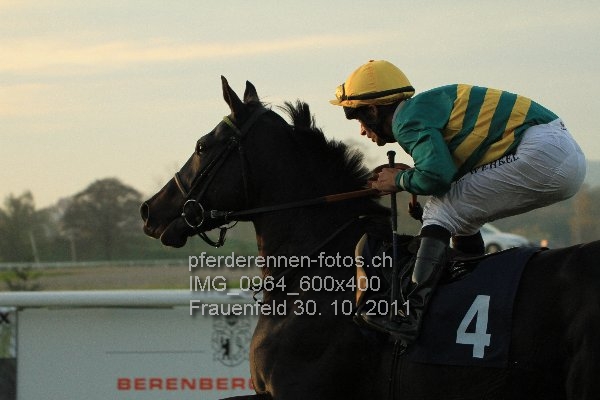 IMG 0964 600x400 prot