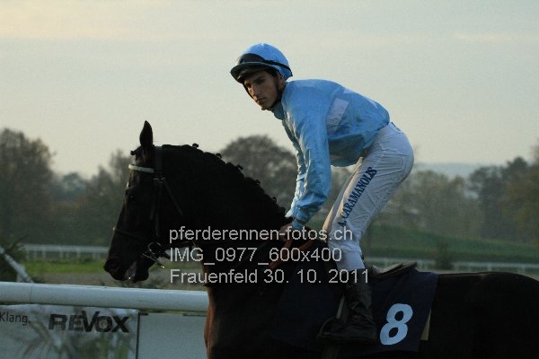 IMG 0977 600x400 prot