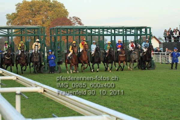 IMG 0985 600x400 prot