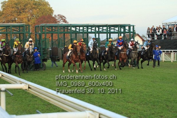IMG 0989 600x400 prot
