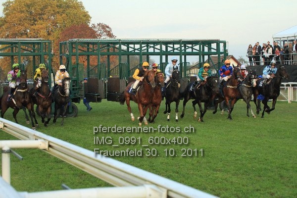 IMG 0991 600x400 prot