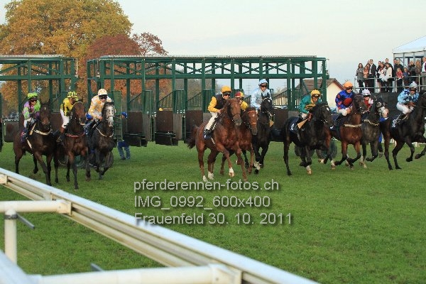IMG 0992 600x400 prot