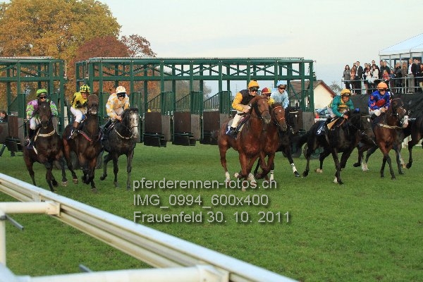 IMG 0994 600x400 prot