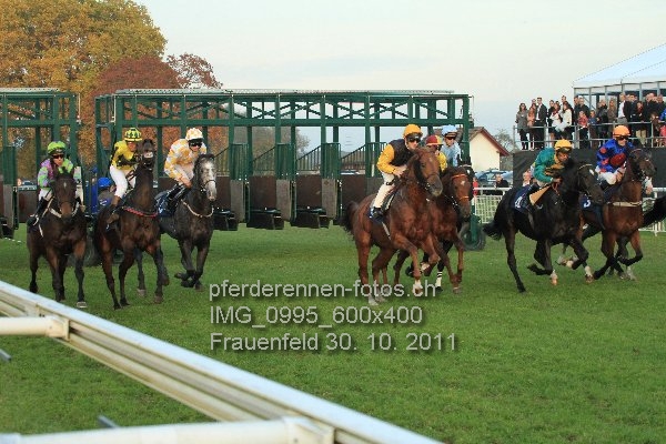IMG 0995 600x400 prot