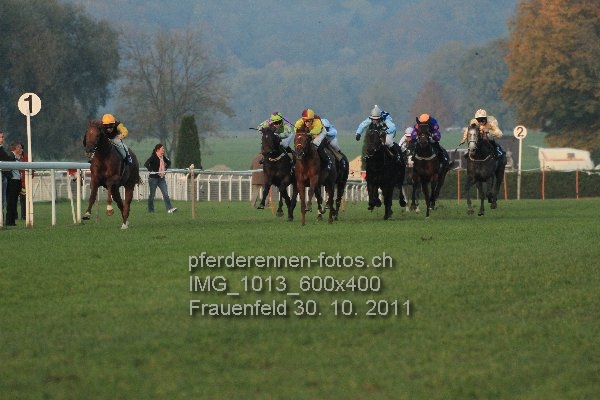 IMG 1013 600x400 prot