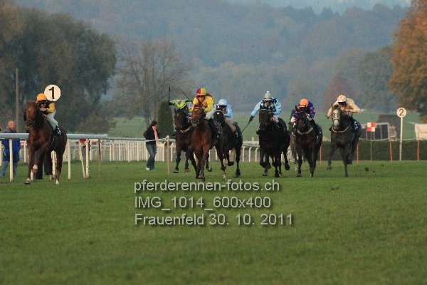 IMG 1014 600x400 prot
