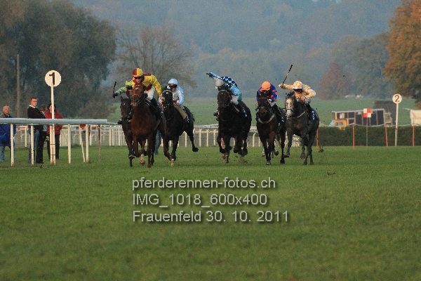 IMG 1018 600x400 prot