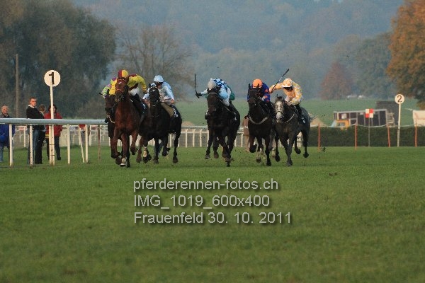 IMG 1019 600x400 prot