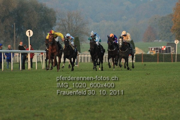 IMG 1020 600x400 prot