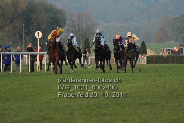 IMG 1021 600x400 prot