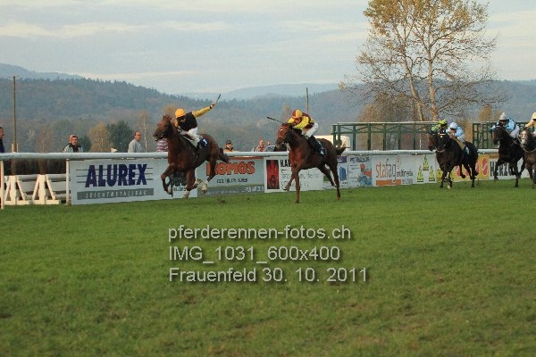 IMG 1031 600x400 prot