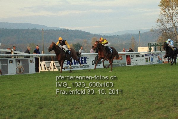 IMG 1033 600x400 prot