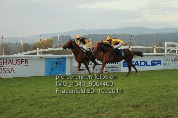 IMG 1040 600x400 prot