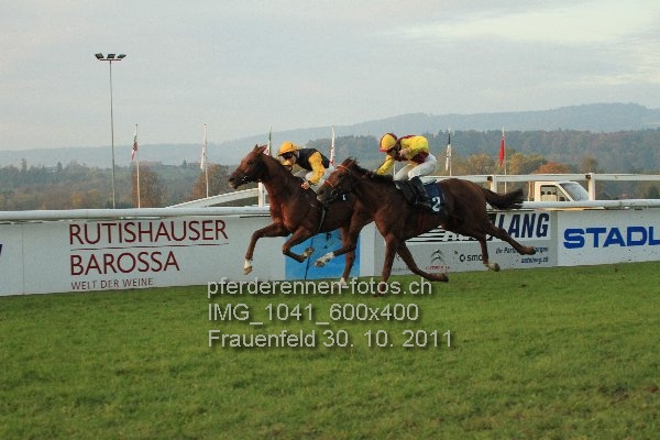IMG 1041 600x400 prot