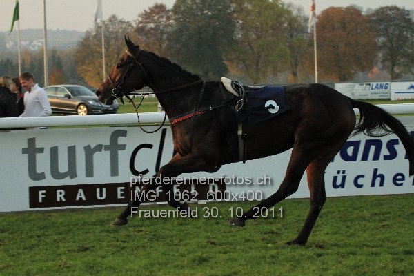 IMG 1062 600x400 prot