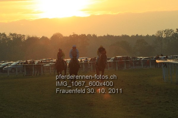 IMG 1067 600x400 prot