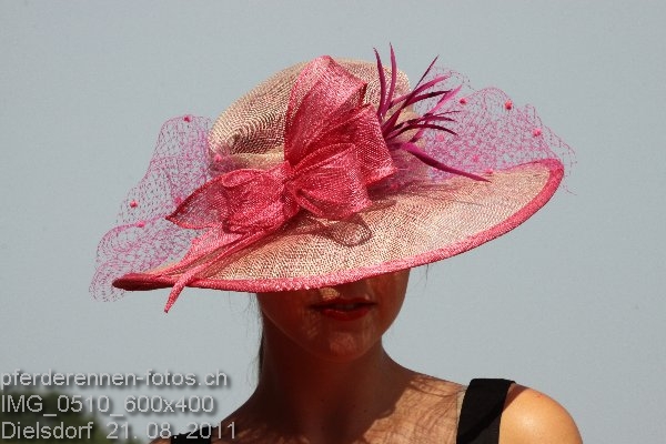 IMG 0510 600x400 prot