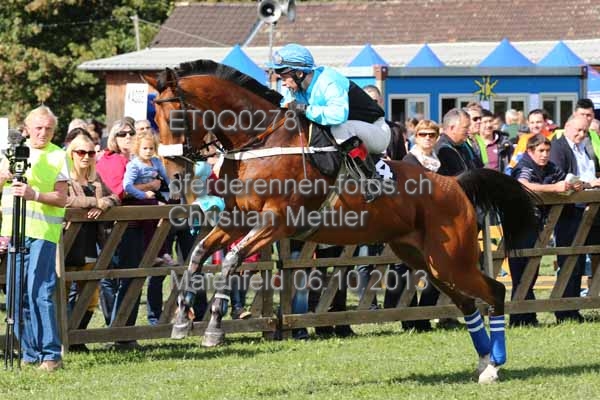 ET0Q0278 prot