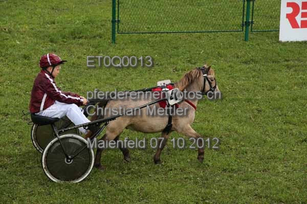 ET0Q0013 prot