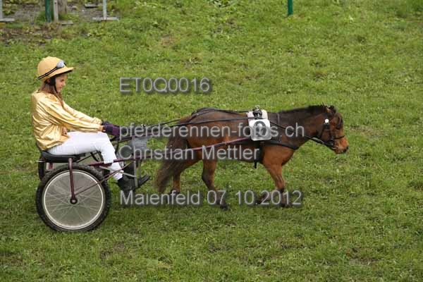 ET0Q0016 prot
