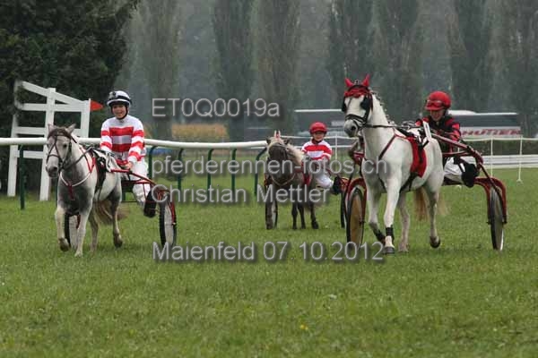 ET0Q0019a prot